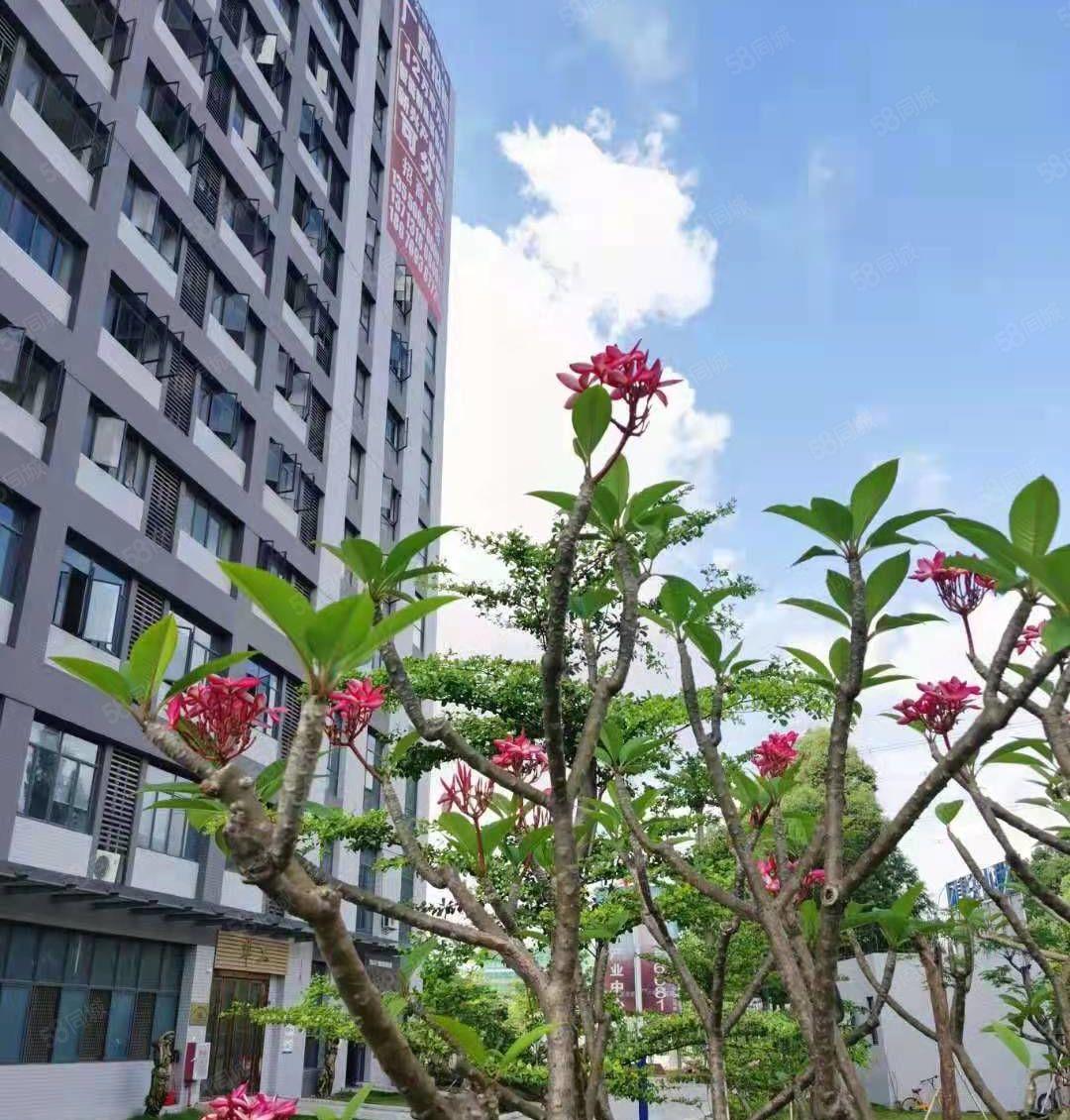 望牛墩红本高新产业园