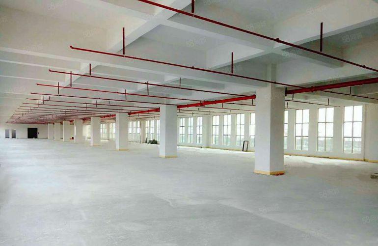 望牛墩新出独院厂房三层4500平方带精装修出租