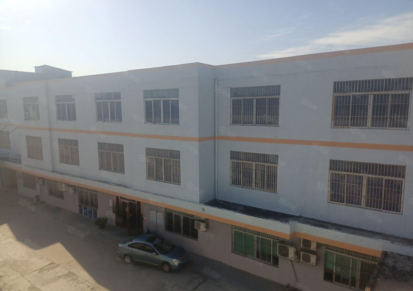 望牛墩望洪路旁新出村委厂房出租