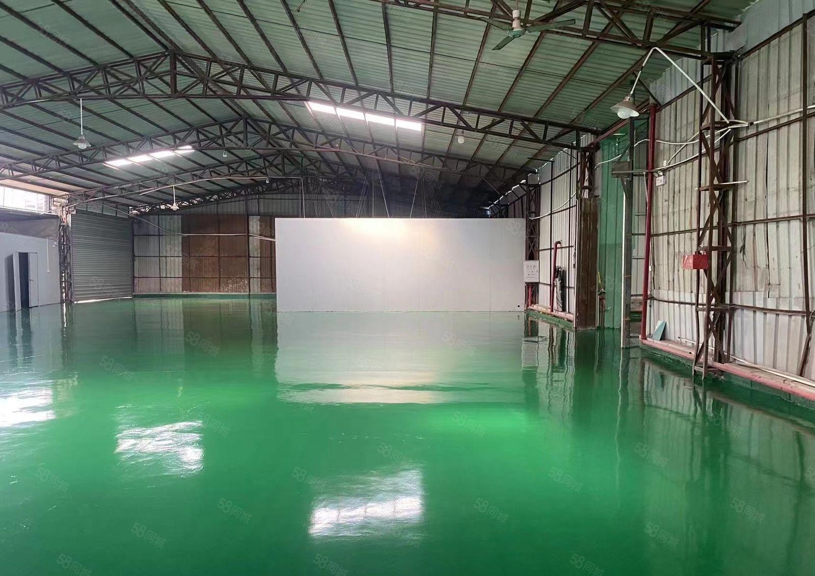 望牛墩新出独院单一层厂房出租2150平，带全新地坪漆