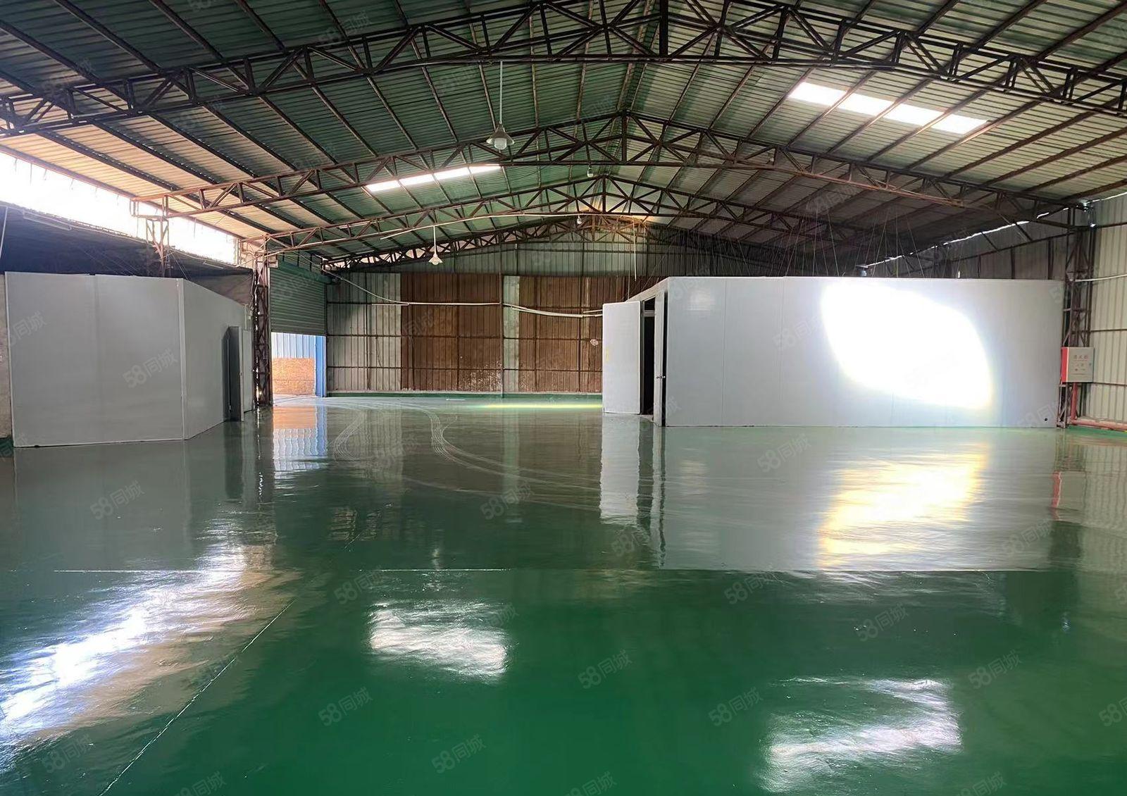 望牛墩五福路新出单一层2150，无公摊价格便宜大小可分租