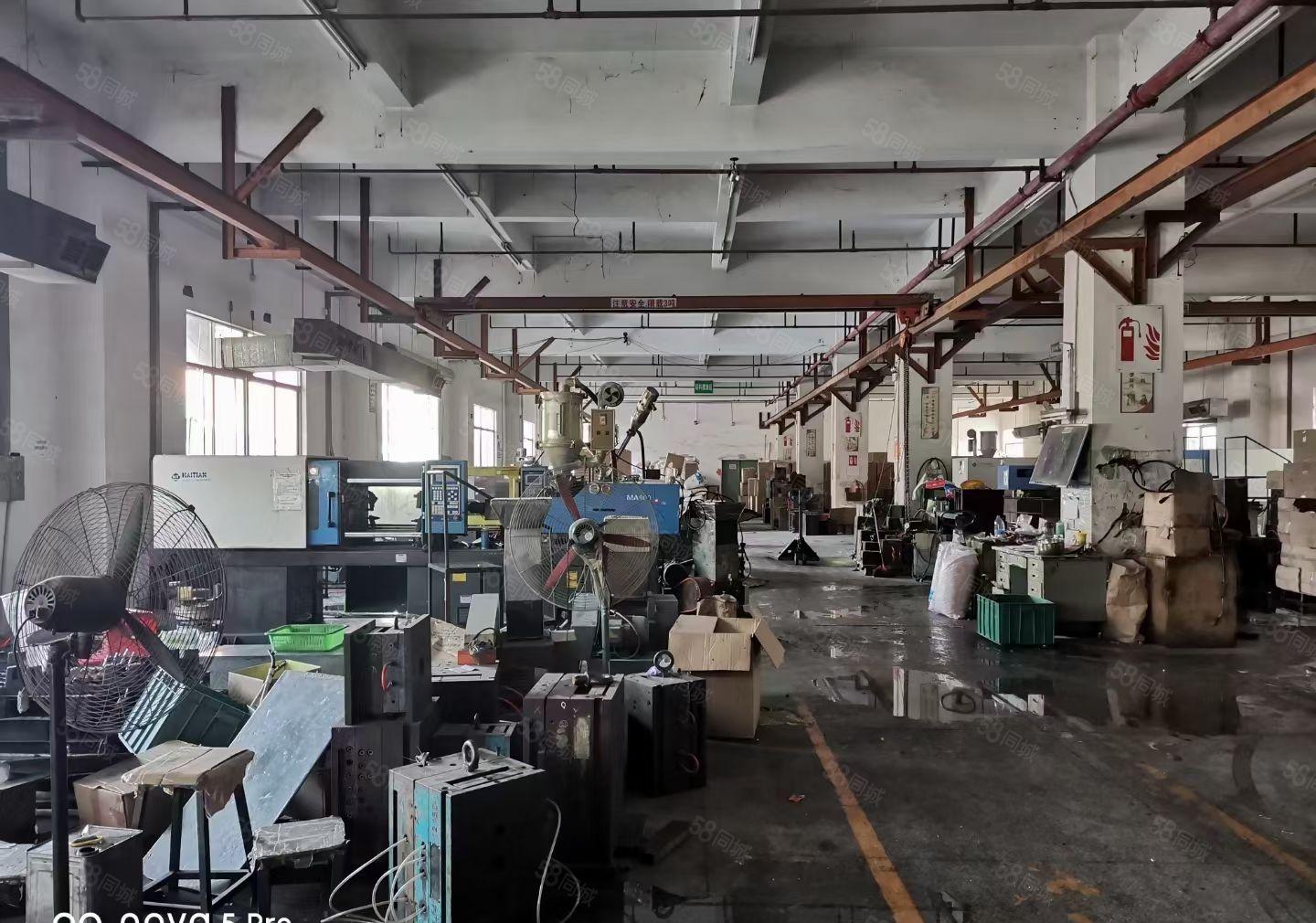 厂房出租， 望牛墩原房东独栋厂房，超大空地，面积3300