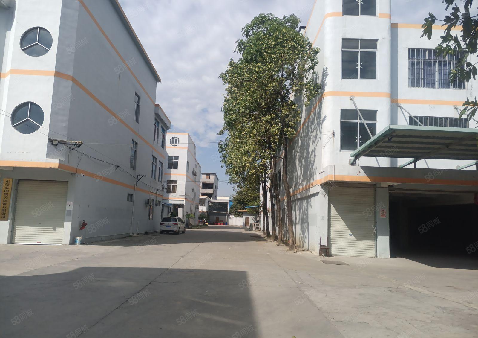 水乡大道旁成熟工业区村委厂房出租