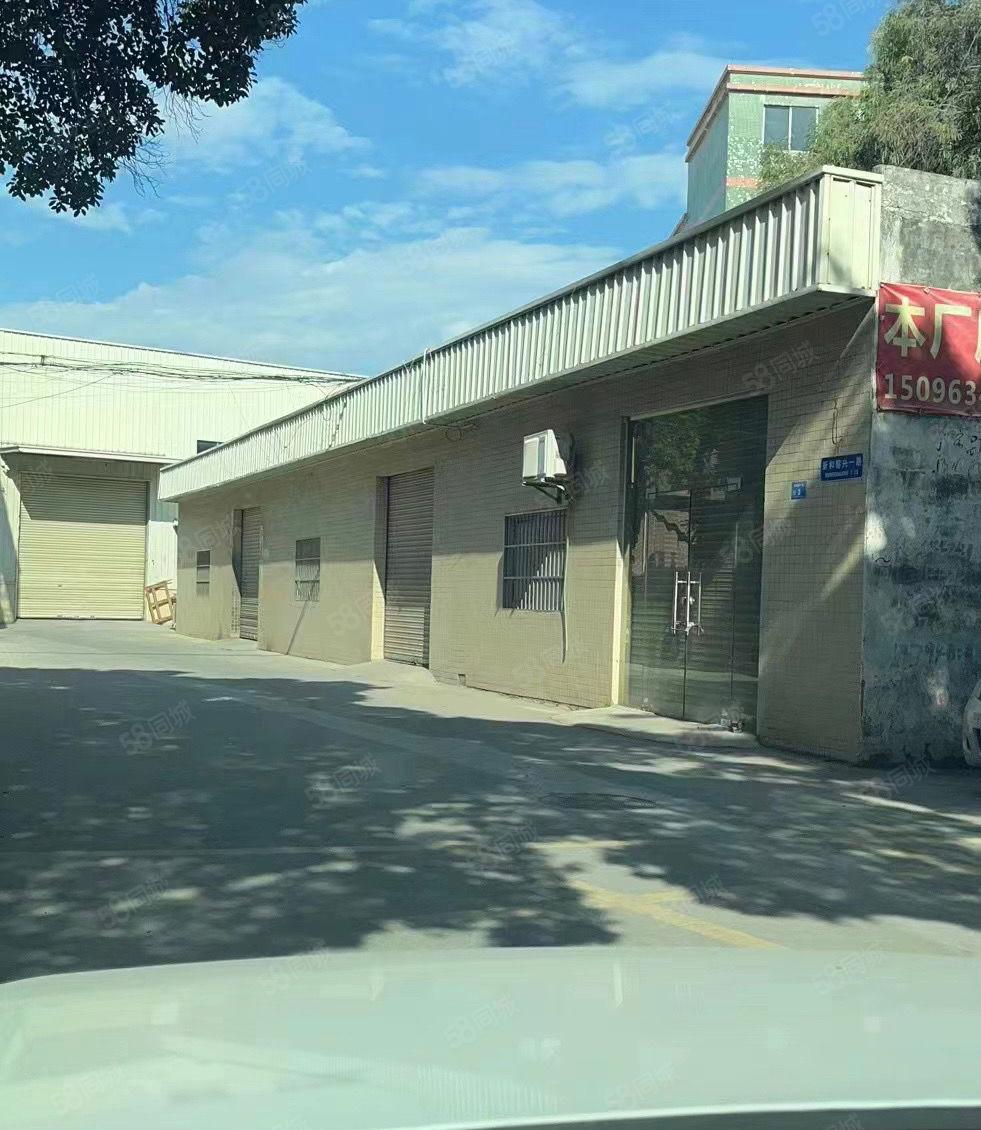 望牛墩新出独院单一层厂房出租2150平，带全新地坪漆
