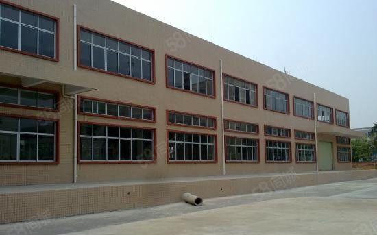 望牛墩原房东出租标准厂房5000平方 共2层 可分租 低价租