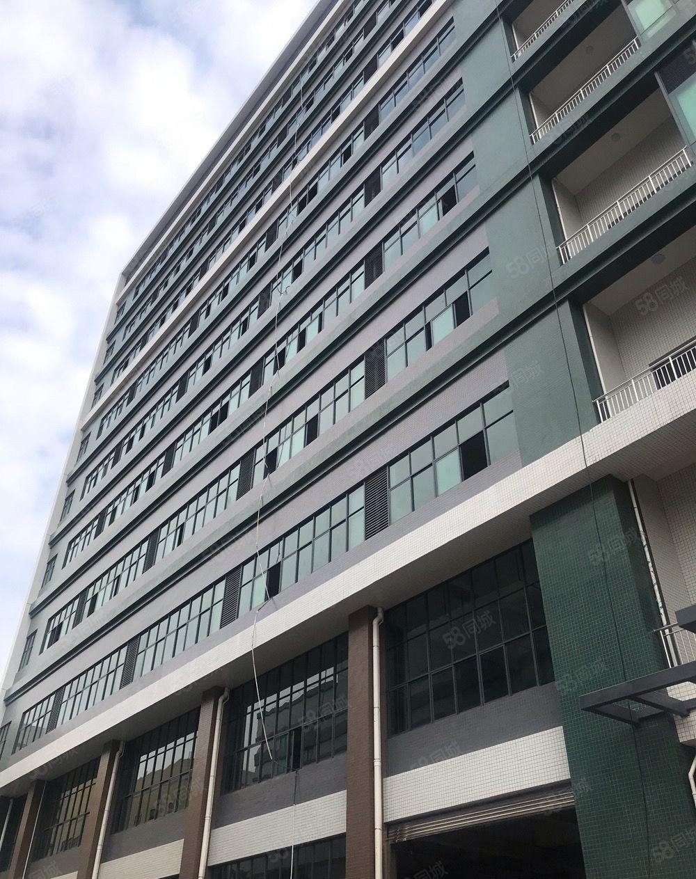 可分租单层,望牛墩原房东全新独院标准厂房21841平方出租