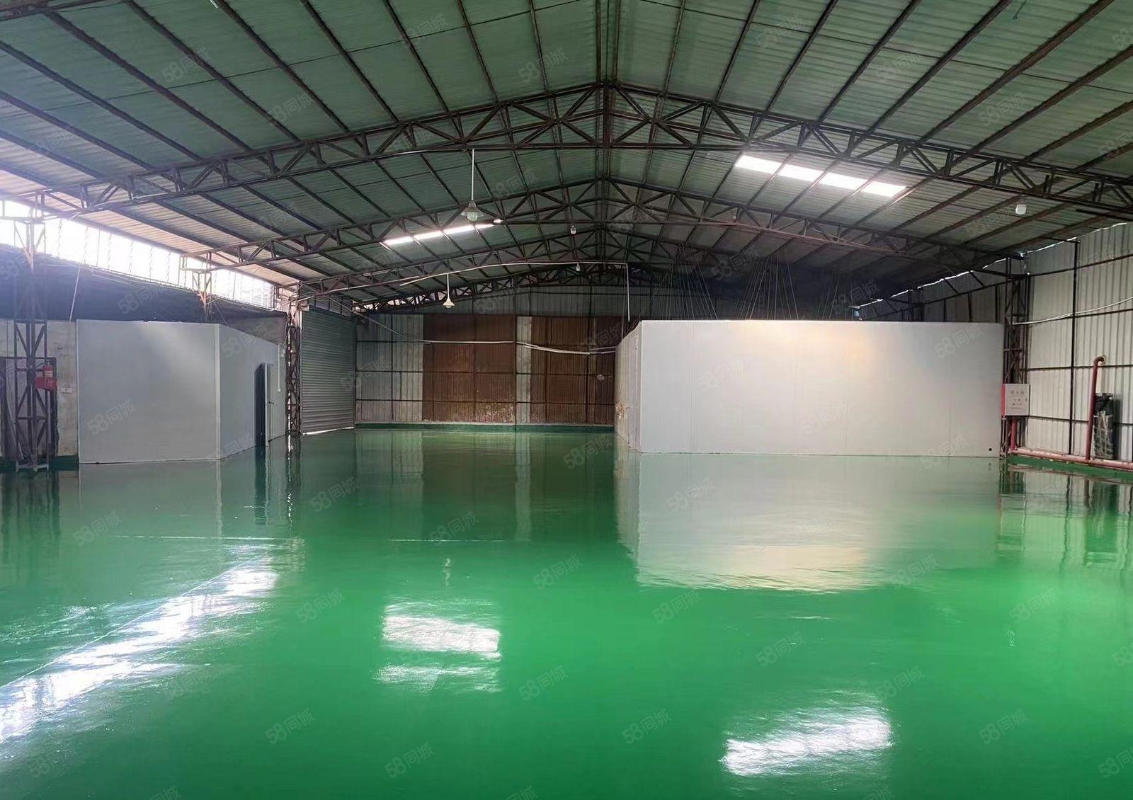 望牛墩新出独院单一层厂房出租2150平，带全新地坪漆