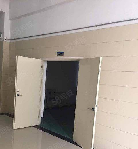 望牛墩出租标准楼层厂房10000平方 有电梯 电（可增）