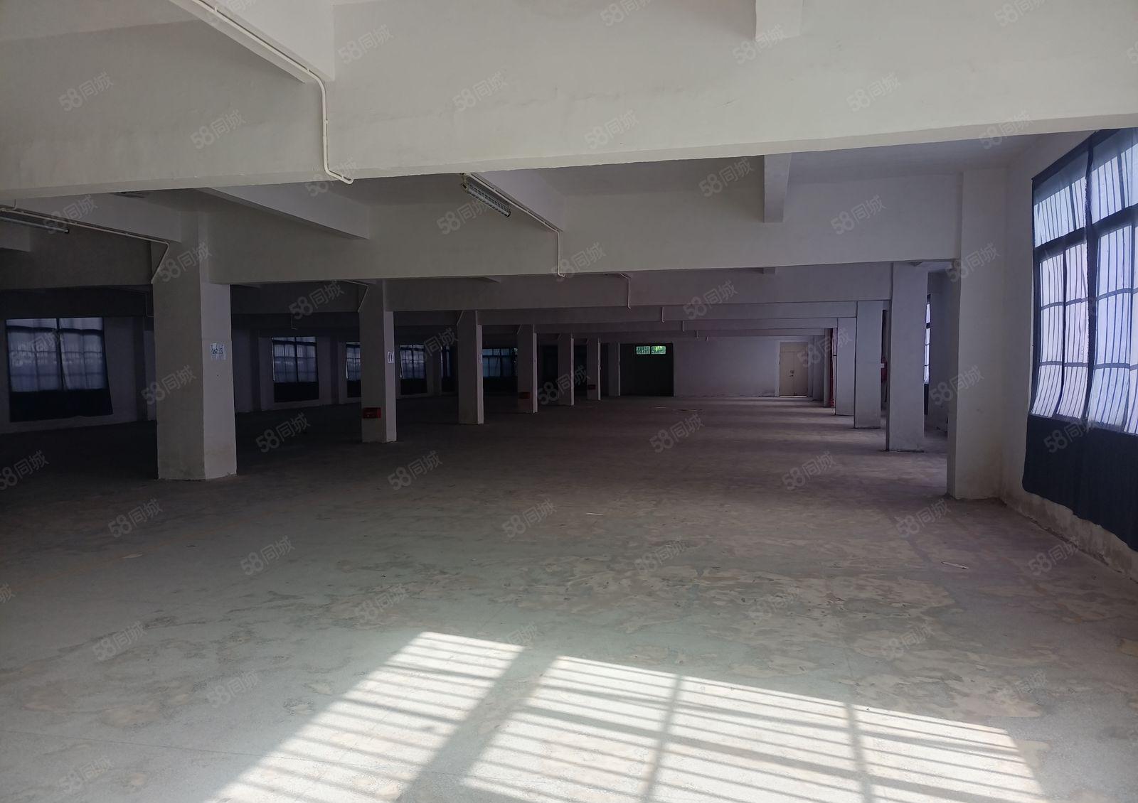 望牛墩望洪路旁新出村委厂房出租