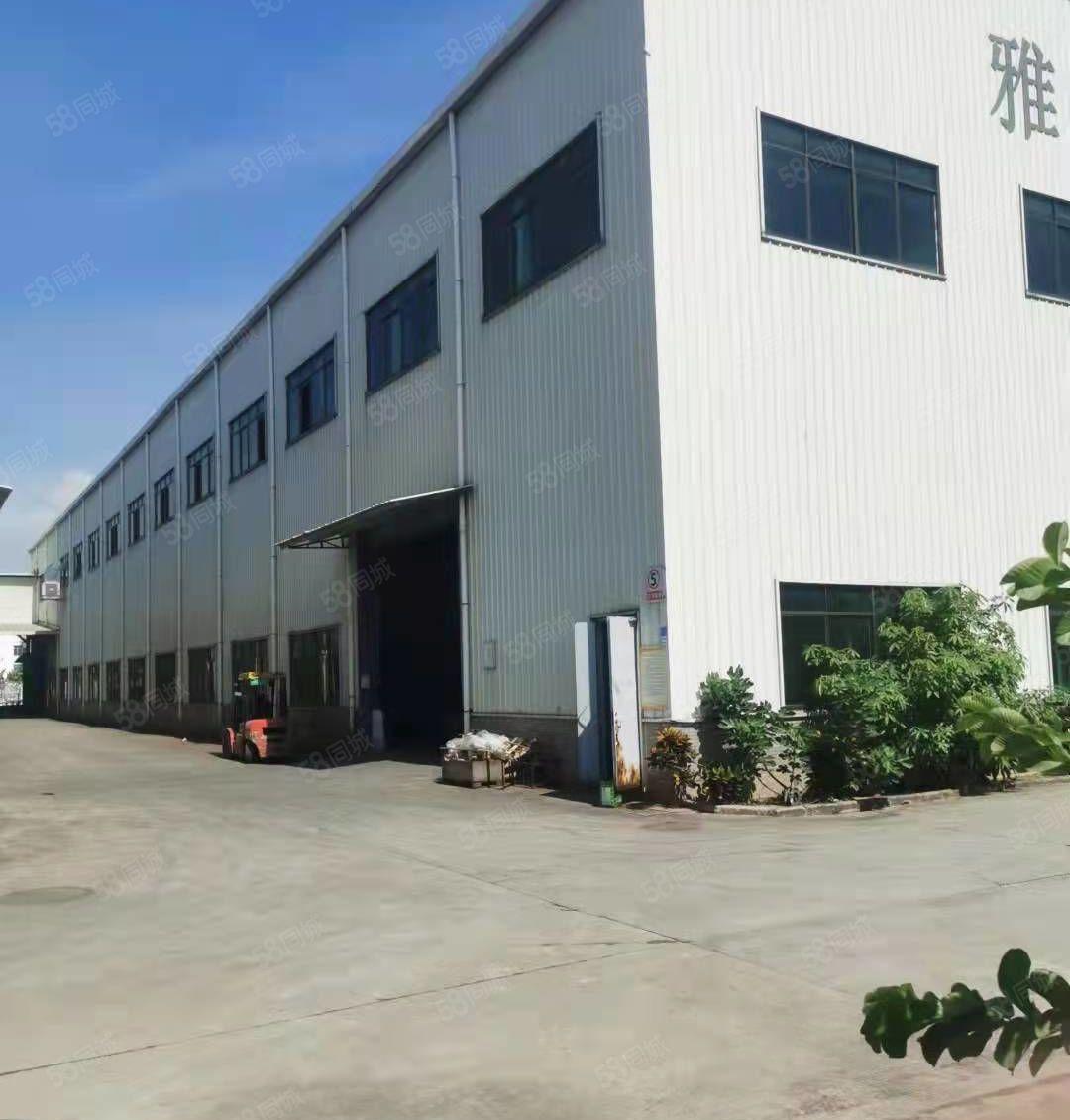 望牛墩单一层厂房证件齐全