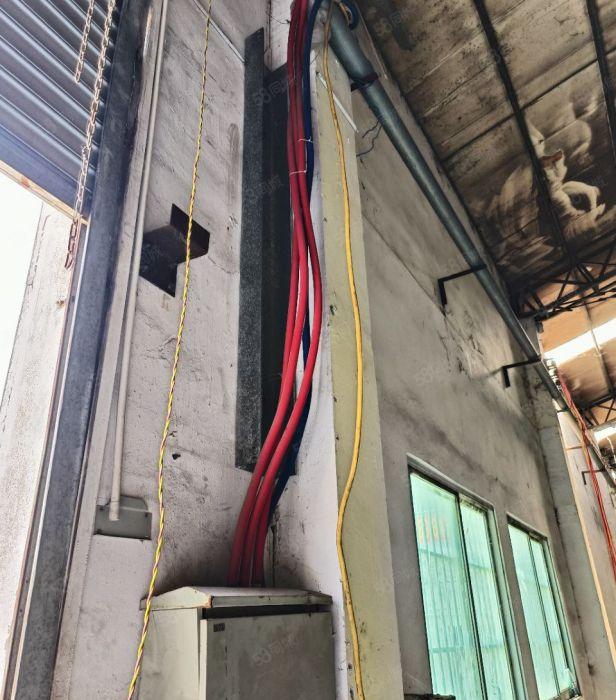 望牛墩原房东单一层独院厂房出租1800平，低价出租仅13元