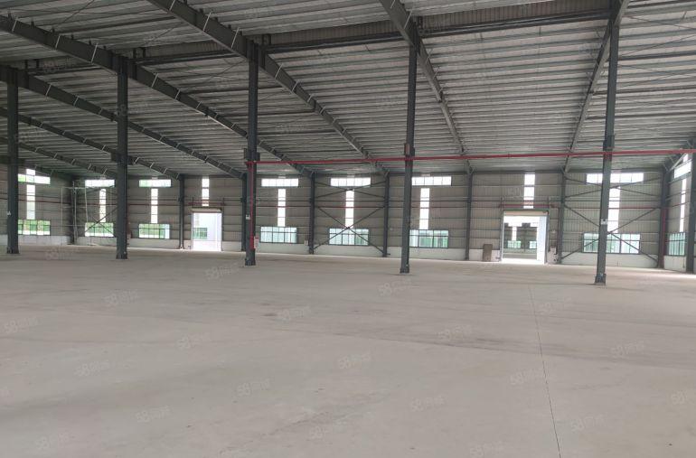 望牛墩107道边原房东全新单一层厂房出租5000平米滴水8米