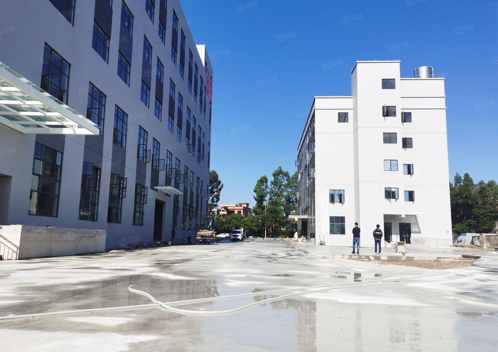 望牛墩高标准环球产业园26800方出租，可分租