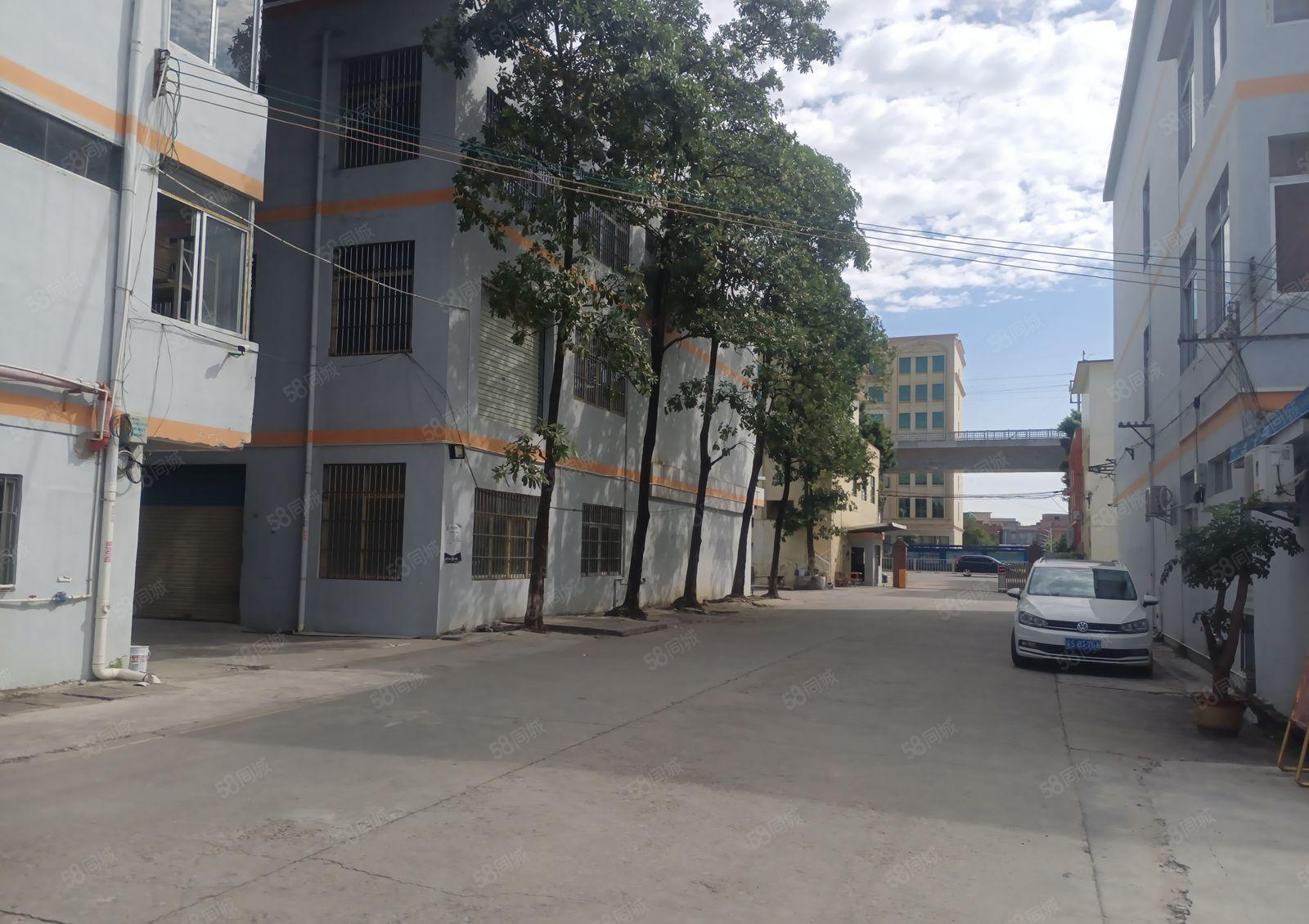 望牛墩东莞西站旁13元超低价厂房