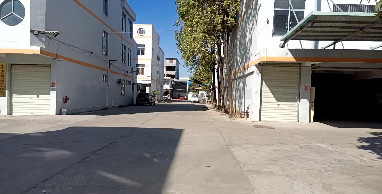 望牛墩望洪路旁新出村委厂房出租