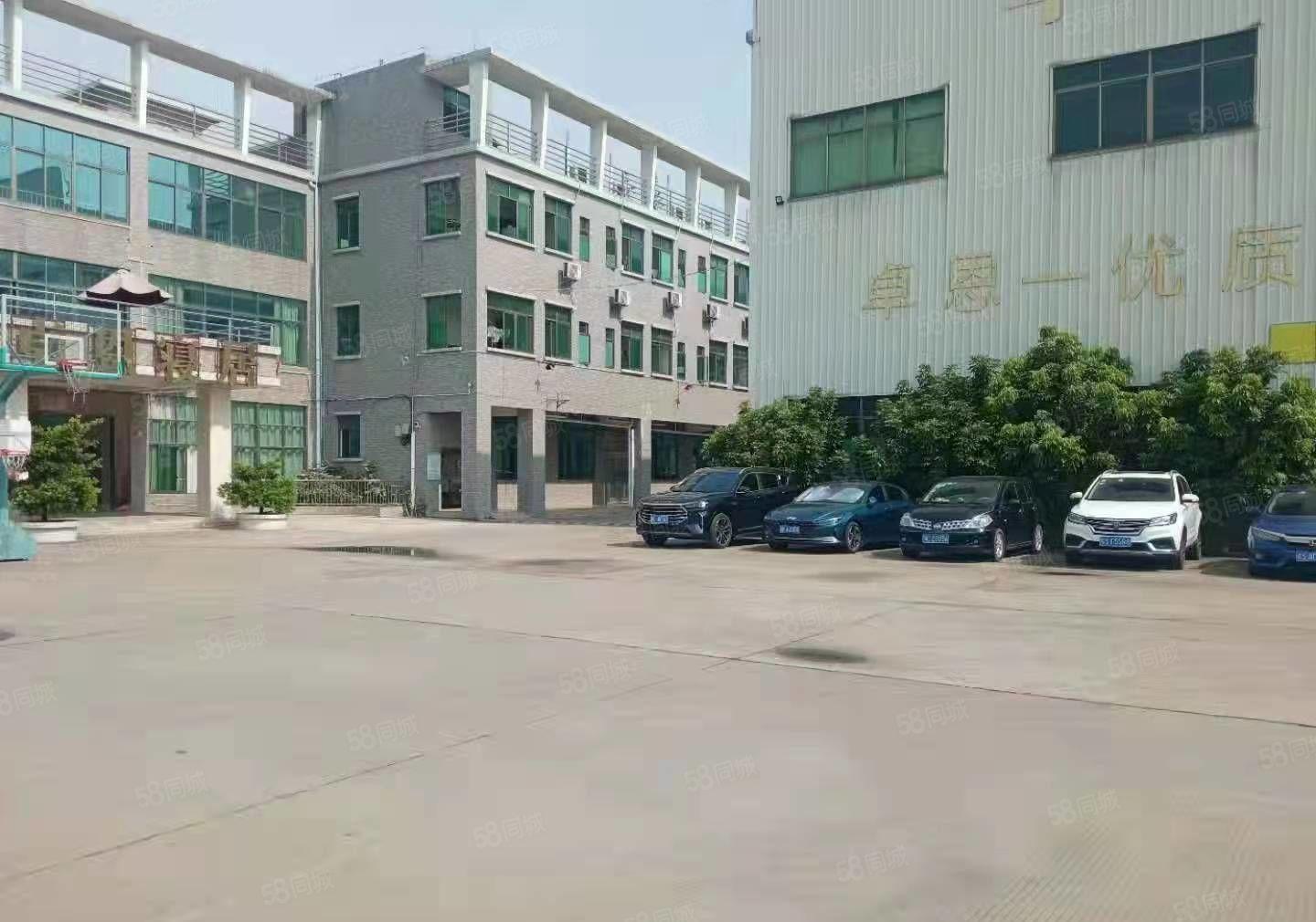 望牛墩单一层厂房证件齐全