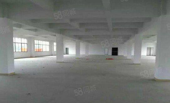 望牛墩原房东出租标准厂房5000平方 共2层 可分租 低价租