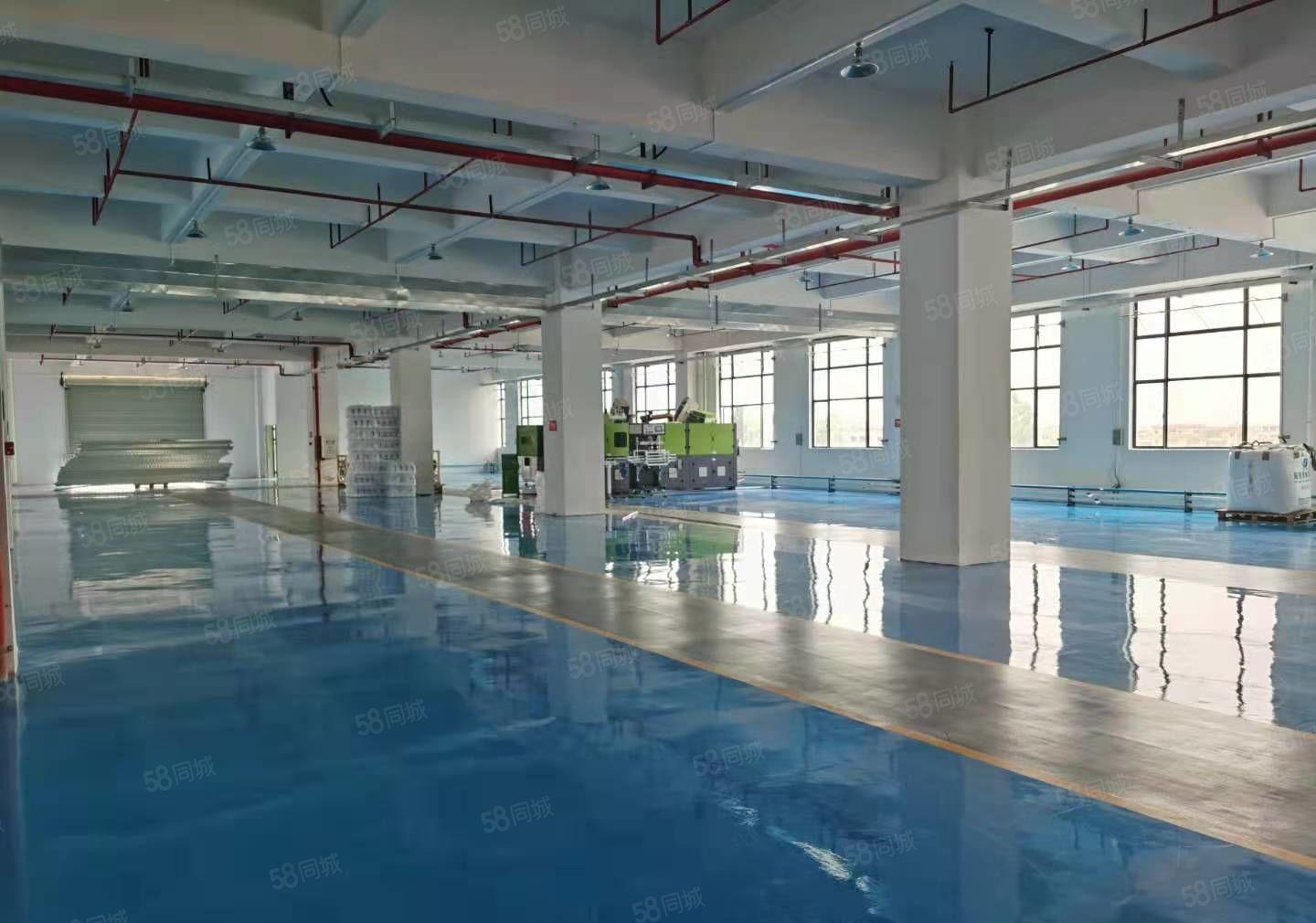 无尘车间出租！！花园式厂房宿舍饭堂休闲娱乐