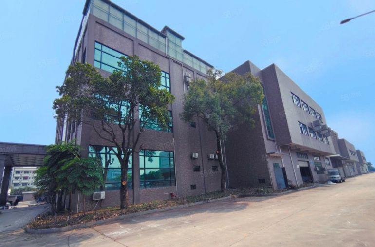 望牛墩标准独栋厂房出租，有红本，消防喷淋，现成独立办公楼