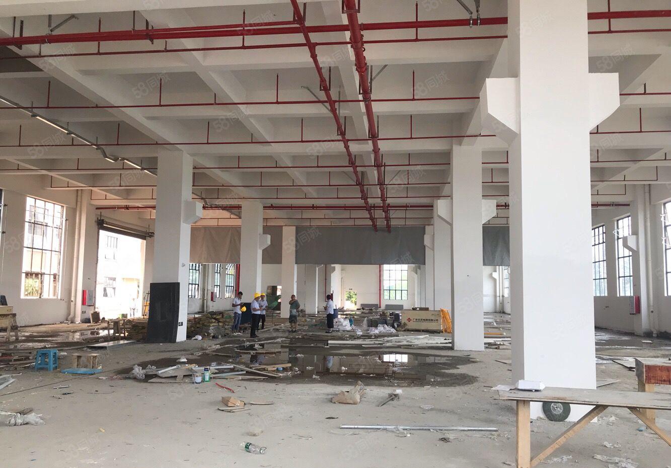 可分租单层,望牛墩原房东全新独院标准厂房21841平方出租