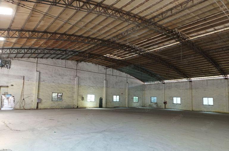 望牛墩原房东单一层独院厂房出租1800平，低价出租仅13元