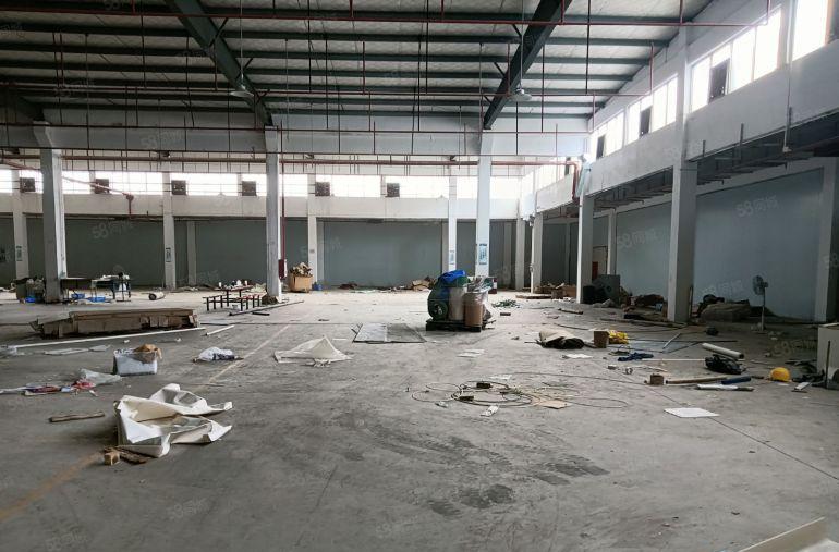 望牛墩 3800平 园区高台仓库  空地大 低价出租