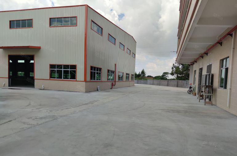 望牛墩107道边原房东全新单一层厂房出租5000平米滴水8米