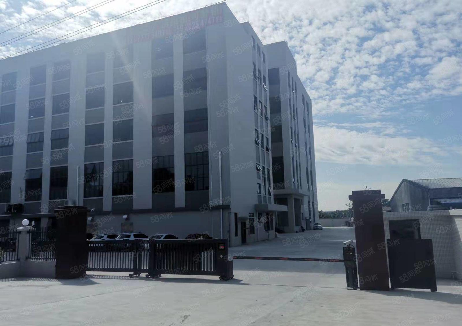 可分租单层或半层，望牛墩全新独院标准厂房出租4960平