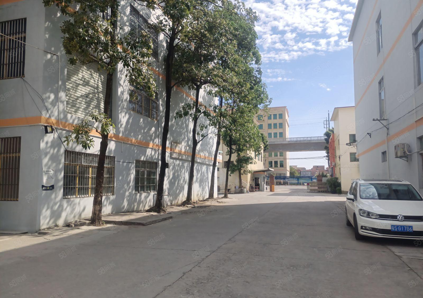 望牛墩下漕工业区原房东厂房出租