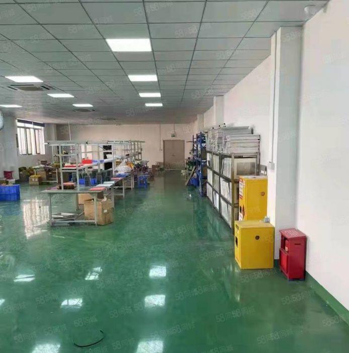 每层1000可分租望牛墩独院4000有地坪漆原房东厂房