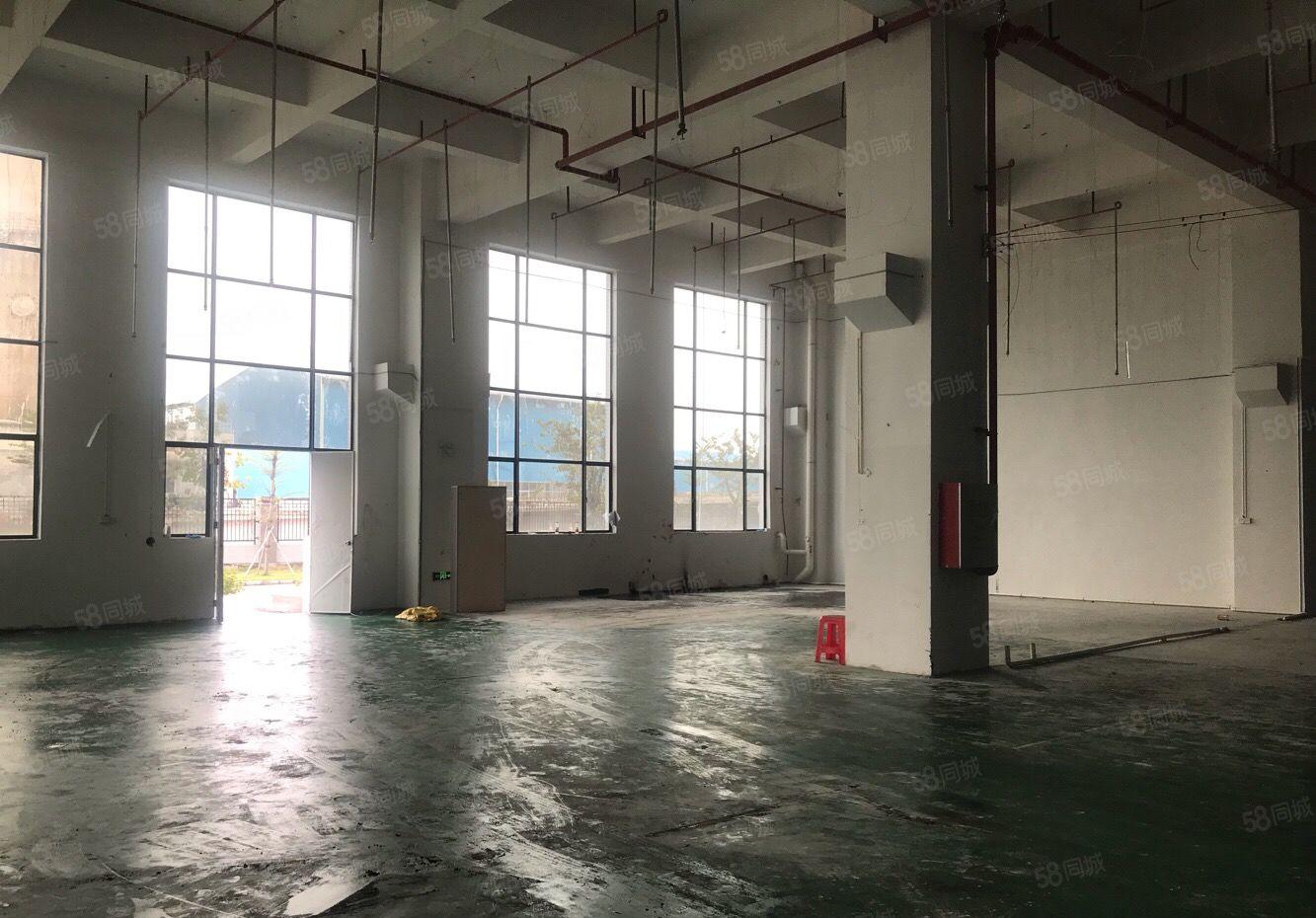 望牛墩标准厂房一楼带牛角1600平方独院厂房出租单一层