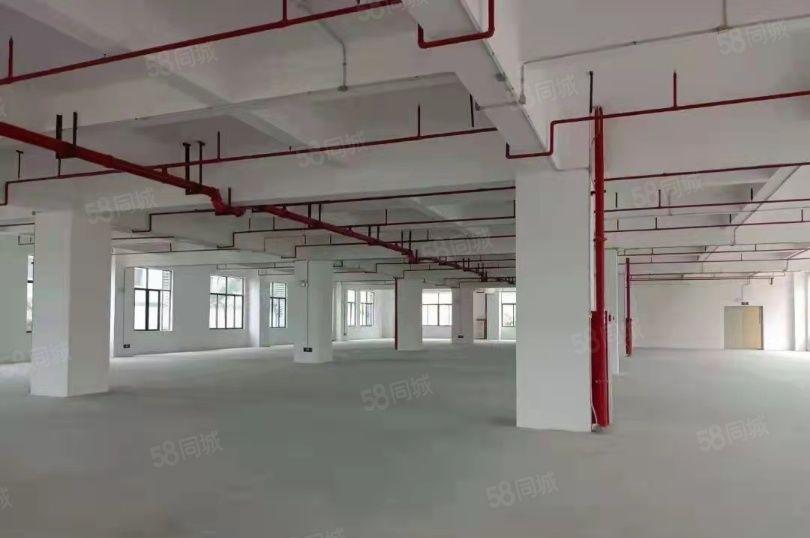 全新高新产业镇政府厂房直接招商！花园式厂房出租，免租期长