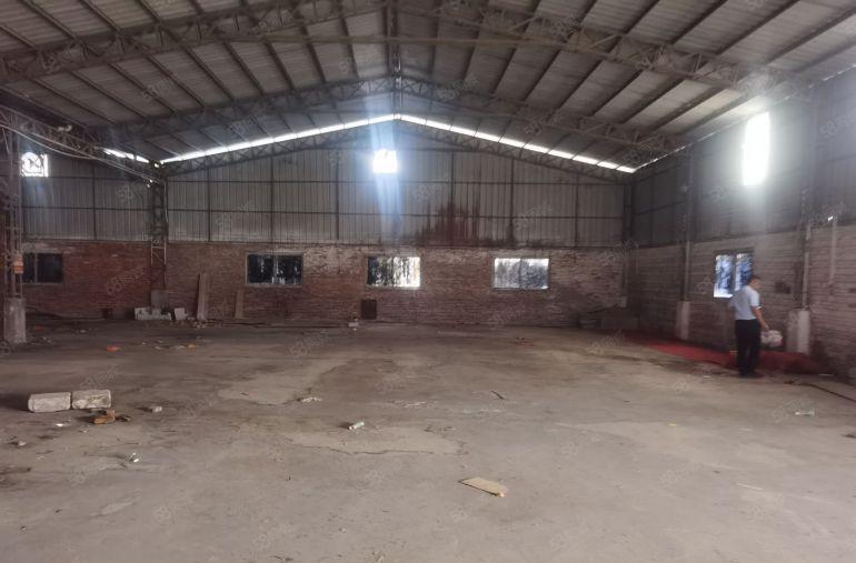 独门独院厂房1000平方，低价出租，大马路边上，可以收废品。