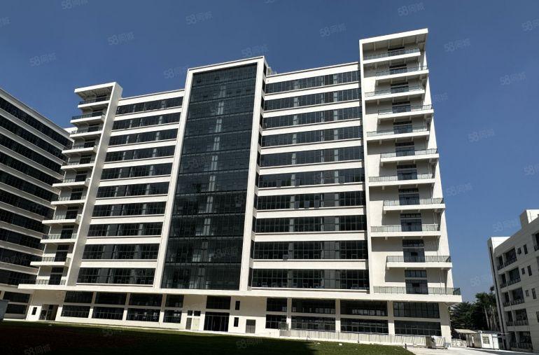 广深沿江高速路口旁的独园区  国有红本厂房 带地下停车场