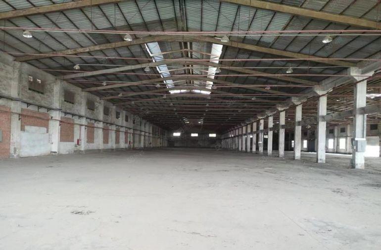 东莞市洪梅镇望洪路独门独院单一层，总面积31000方，可分租