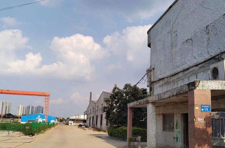 东莞市洪梅镇望洪路独门独院单一层，总面积31000方，可分租