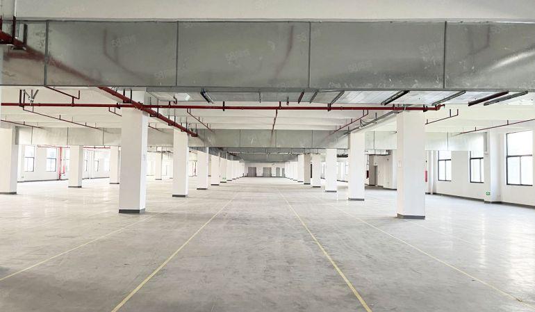 新厂房招租，9.9元就租原房东现楼厂房