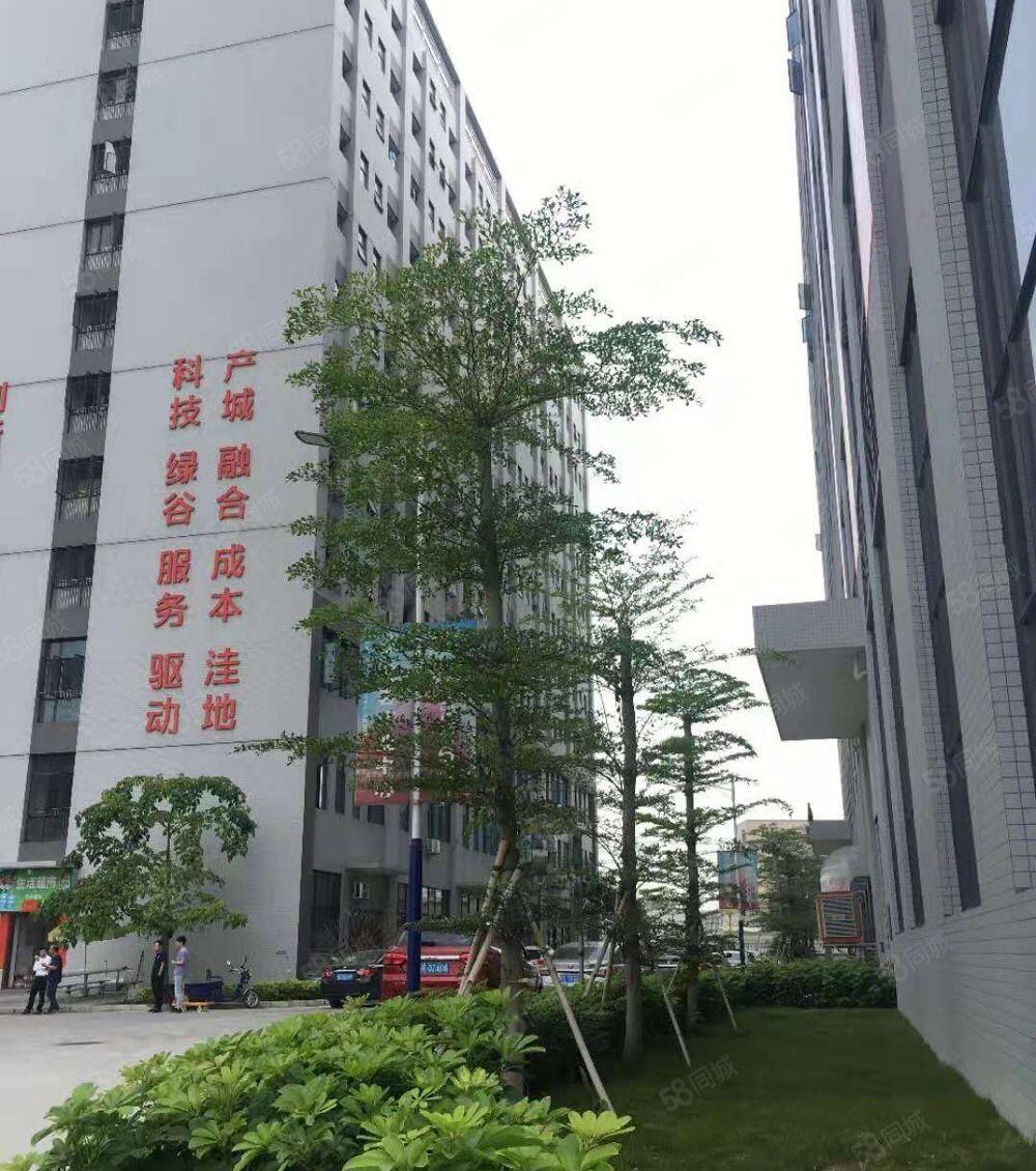 1000平起分租,洪梅镇全新双证标准厂房9万平方出租