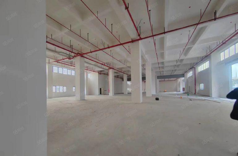 洪梅全新重工业厂房原房东15元实际面积出租