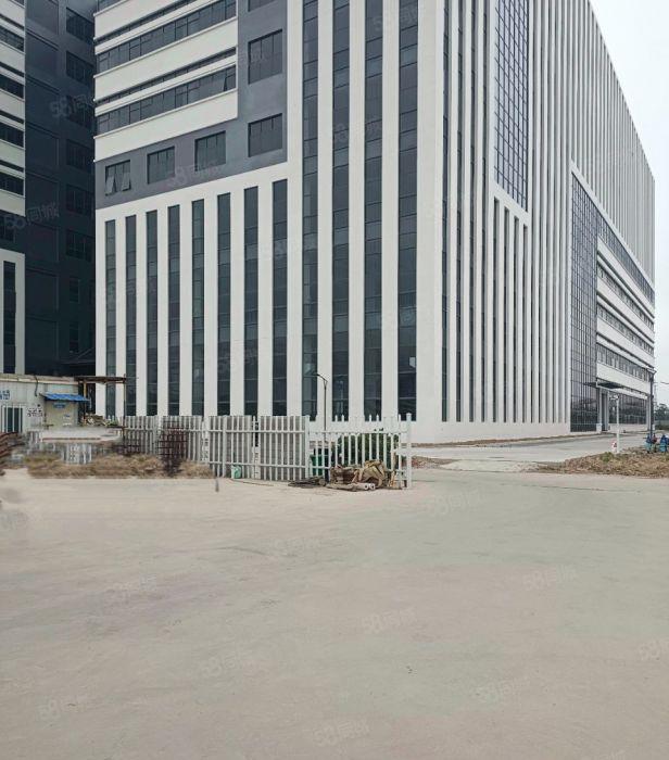 东莞洪梅全新厂房出租