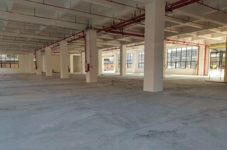 砖墙到顶，水泥顶滴水5米700平方，独门独院厂房便宜出租