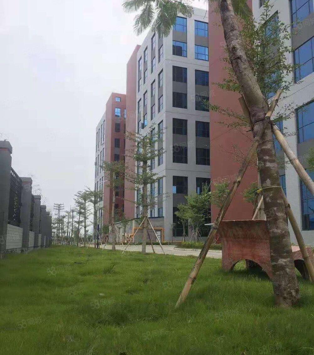 1000平起分租,洪梅镇全新双证标准厂房9万平方出租