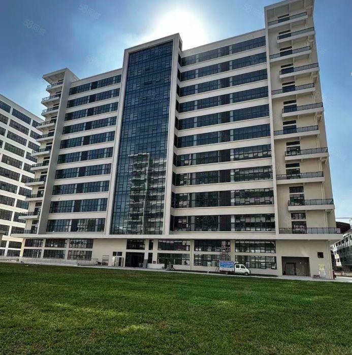 9.9元洪梅全新丙类消防，一楼层高7.5米交通便利