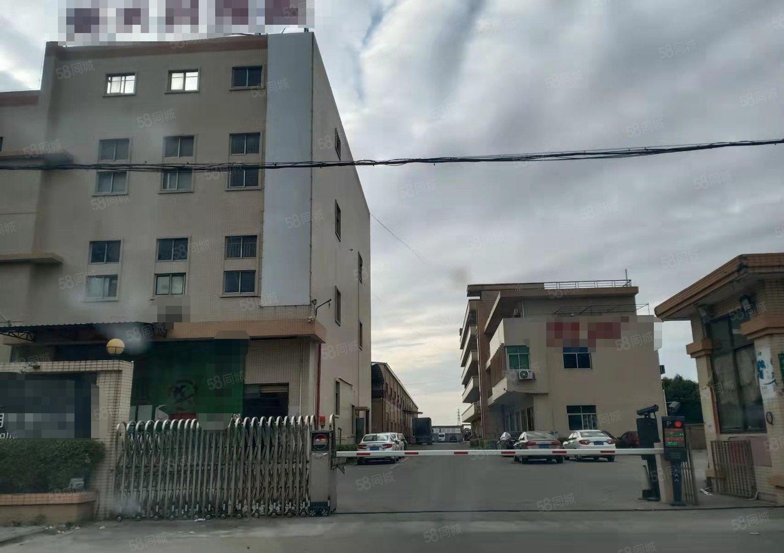 洪梅工业园高度10米，单一层超靓厂房分租