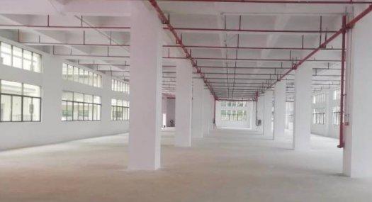 凤岗竹塘原房东独门独院 配电2000 带消防喷淋厂房出租