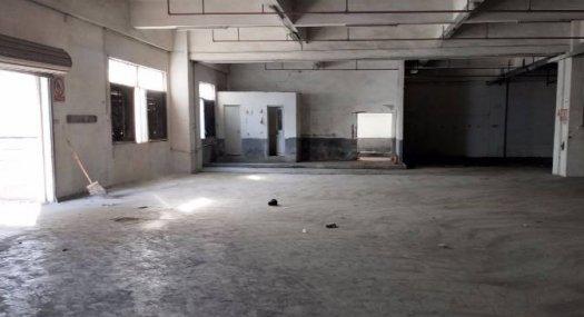 凤岗雁田出租一楼厂房出租1000平 带现成办公室消防喷淋