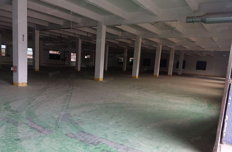 实量，零公摊。谢岗镇独门独院厂房出租，一楼6米，空地大