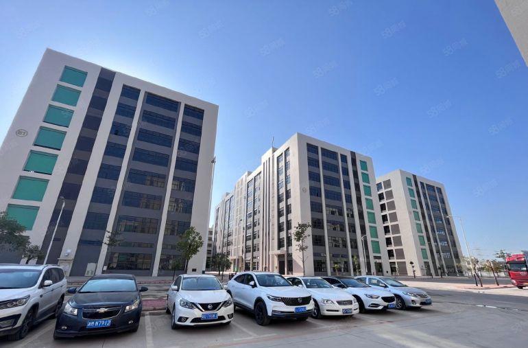 谢岗9元原房东红本园区实际面积出租，大小都可分租