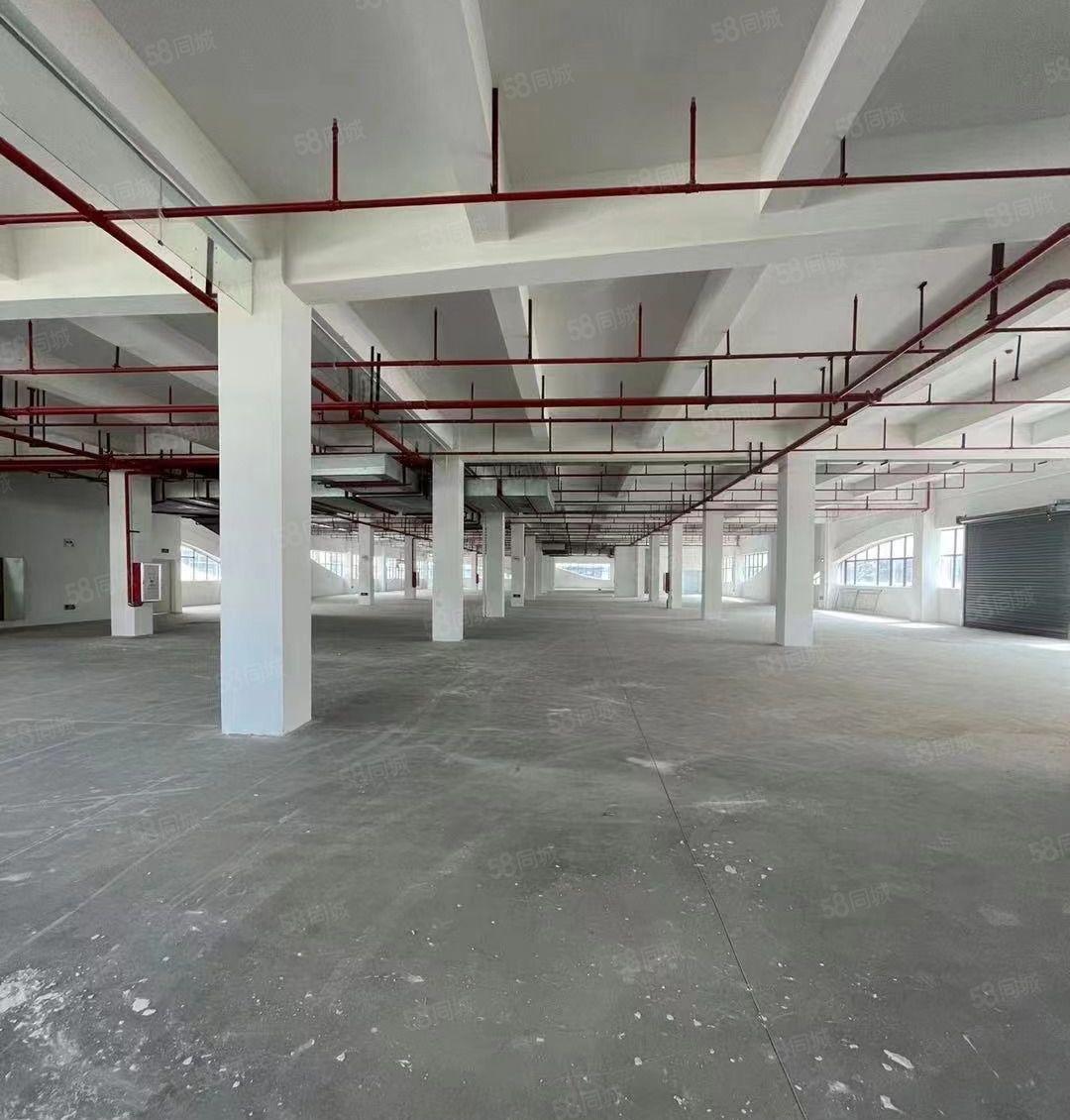 （无公摊）标准两层厂房6687平方，带豪华装修