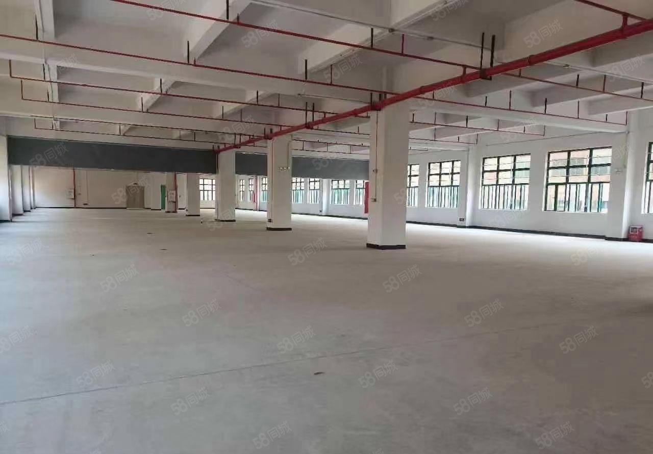 谢岗曹乐乐原房东全新重工业带红本花园式独栋厂房6800平出租